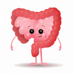 happy bowels